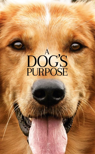 Poster for the movie "A Dog's Purpose"