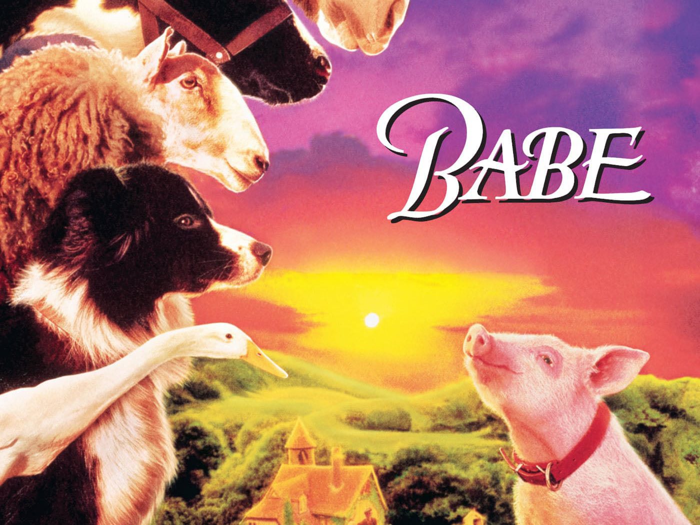 Poster for the movie "Babe"