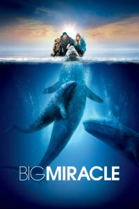 Poster for the movie "Big Miracle"