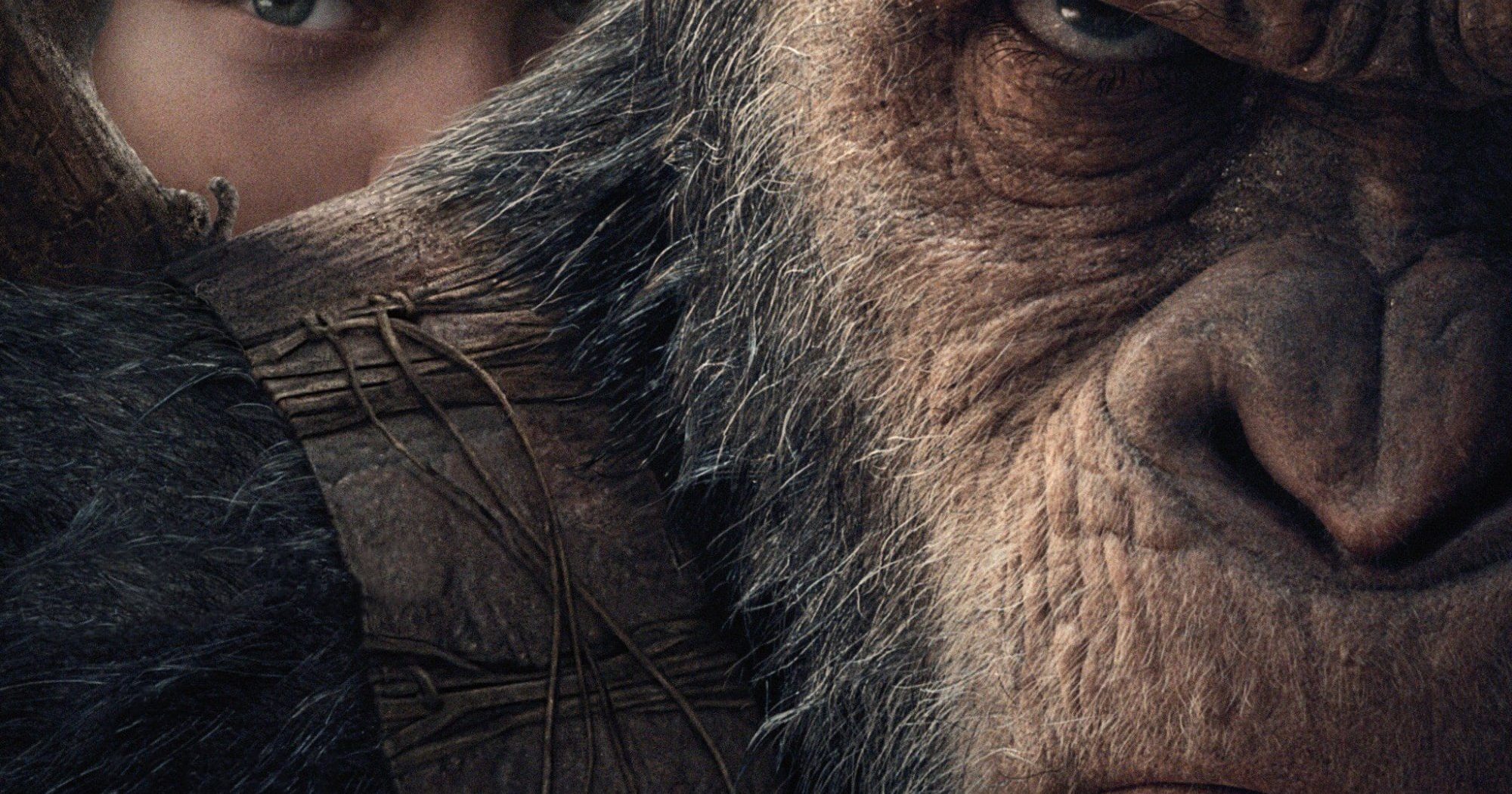 Poster for the movie "War for the Planet of the Apes"