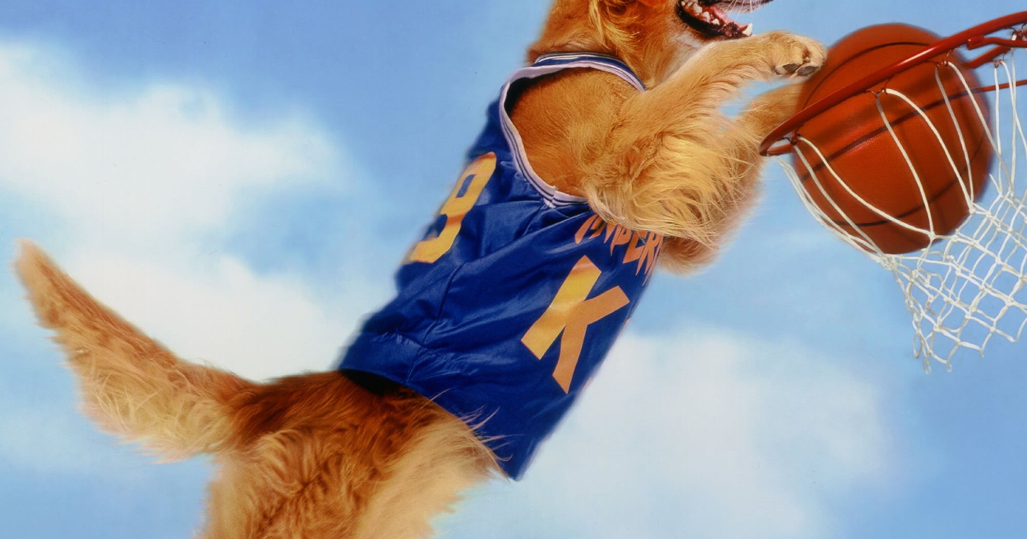 Poster for the movie "Air Bud"