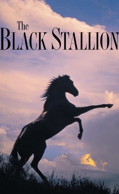 Poster for the movie "The Black Stallion"