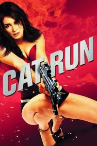 Poster for the movie "Cat Run"