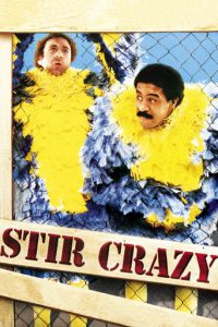 Poster for the movie "Stir Crazy"